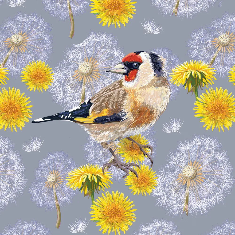 goldfinch and dandelions
